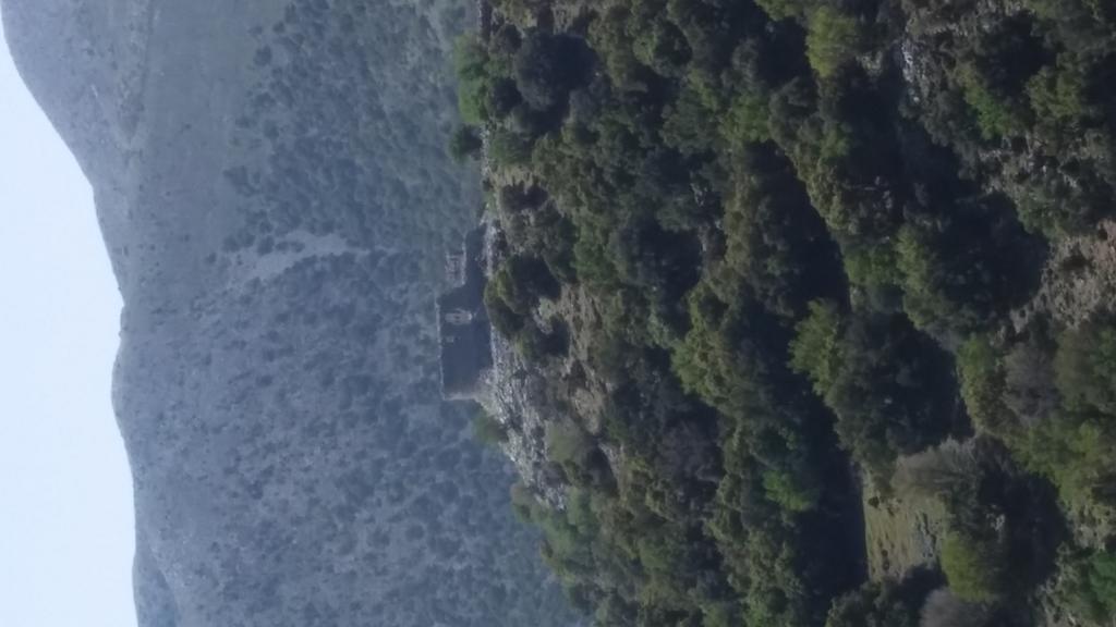 Πανόραμα Ασκύφου Διαμέρισμα Καρές Εξωτερικό φωτογραφία
